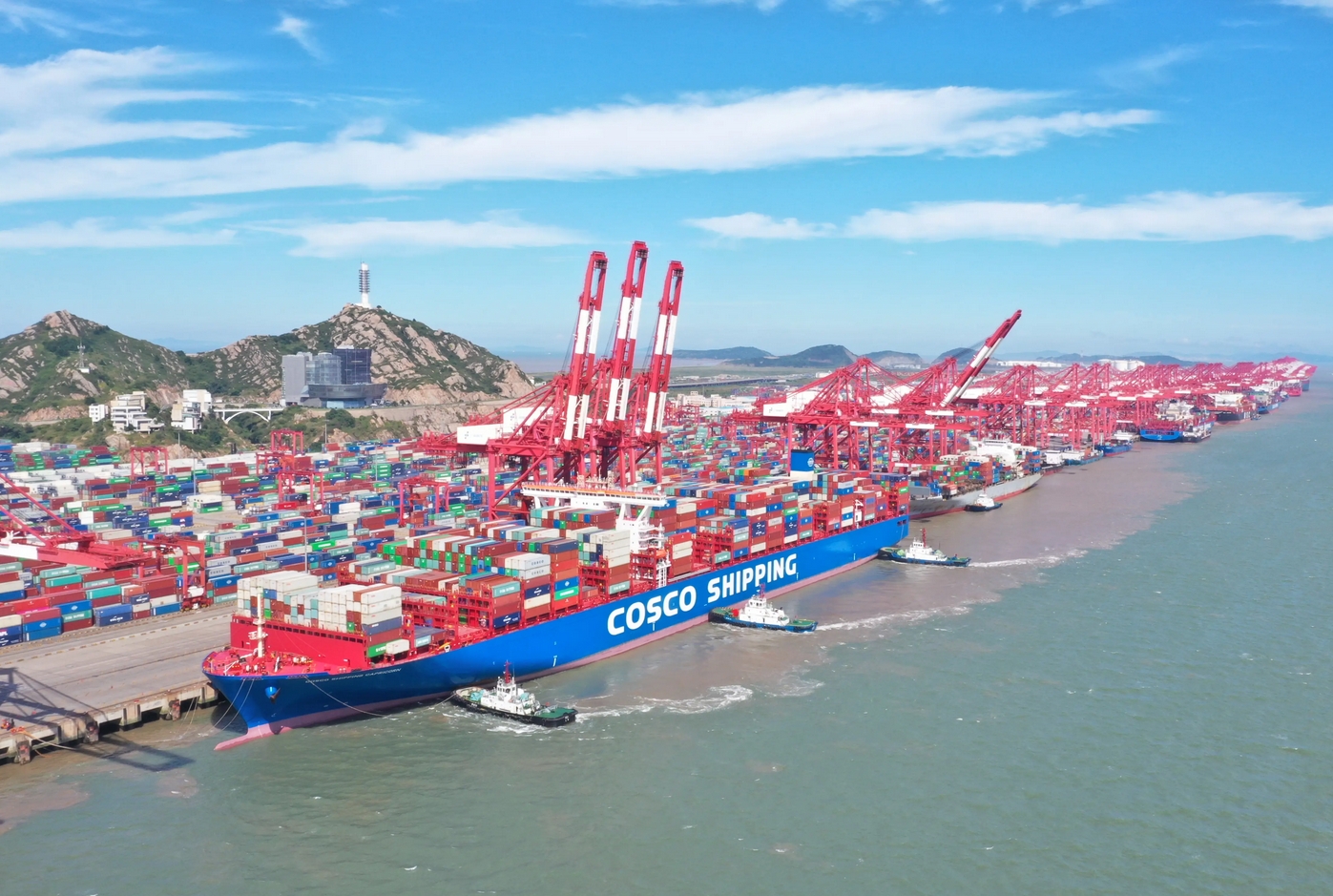 New Zealand Shipping